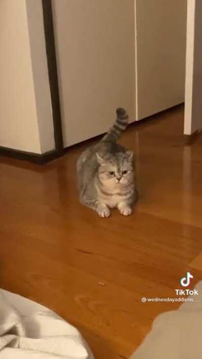 Got attacked by a big greeble