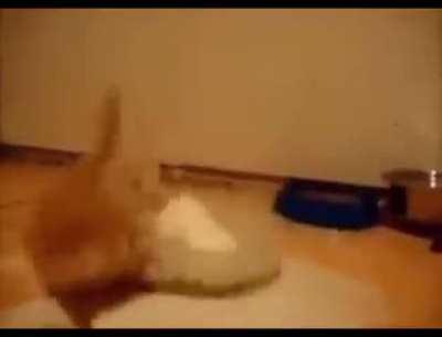 hungry but maked a mess