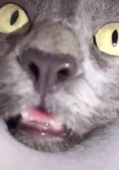 best experienced with sound