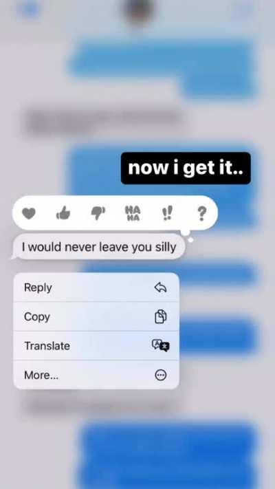 What A Silly Goose I Am