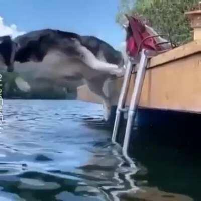 This. Is going to be bad