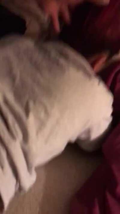 Pull on my hair and beat that pu$$y up Daddy!!! Follow my ig-bunniibaggz for more of me.. links there