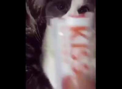 an interesting title