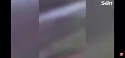 Man Kicks Bear, Almost Becomes Lunch