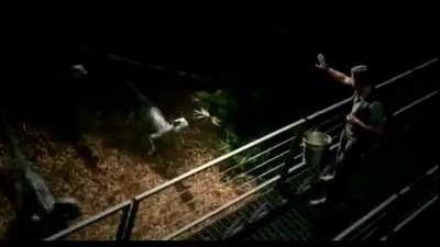 When the price of GME hits $10K