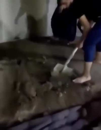 Brincadeira saudável