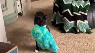 Computer problems may preclude my posting anything from my heist archive or that requires significant editing until I resolve it, but solo sea monsters I can still do!