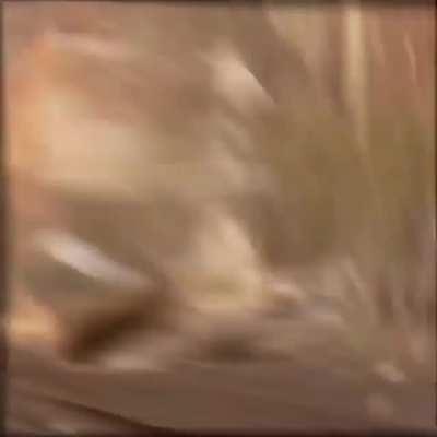 Nothing truly beats the basics