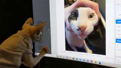 My monitor sustaining heavy damage