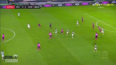 O que deve fazer um nº6 - featuring Palhinha