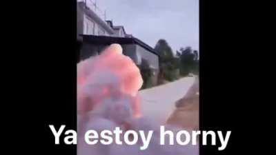 La mitad del chat al ver a beelce minita