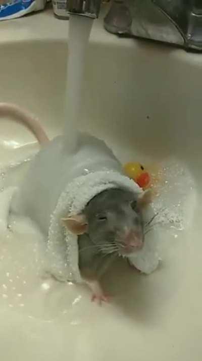 Bathtime bliss complete with rubber ducky