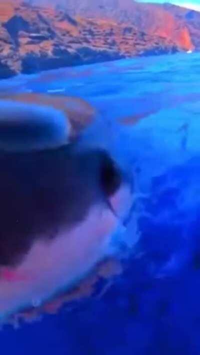 What up Terry, you doing good??