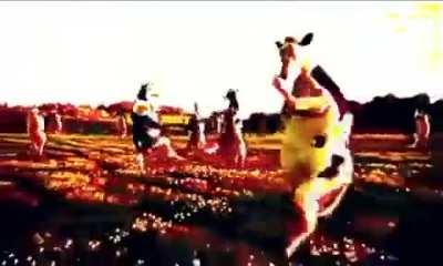 Esta va pal orson 🖕🖕🖕