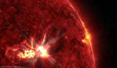 Earth-facing sunspot AR3110 erupted today, producing an impulsive M5.9-class solar flare