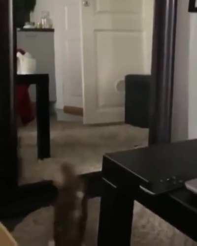 Dance like no one's watchi.....YOU DID NOT JUST SEE THAT