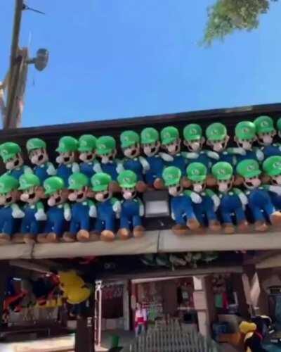 Dream Team in a nutshell