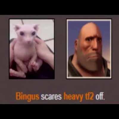 He's Not Here Is He?