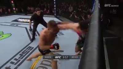 The power and striking skills of talented lightweight Drew Dober