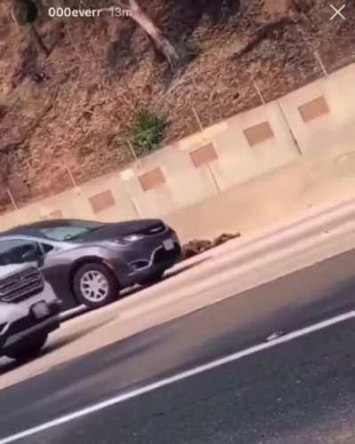 A walk in the fast lane nsfw