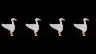 AROUND THE WORLD YALL