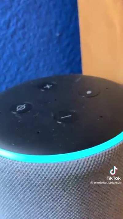 pyro NEEDS to buy an alexa