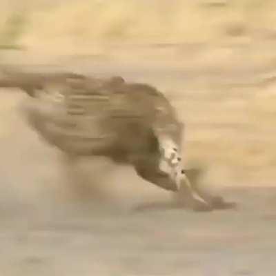 Still a solid camera work. 🤔