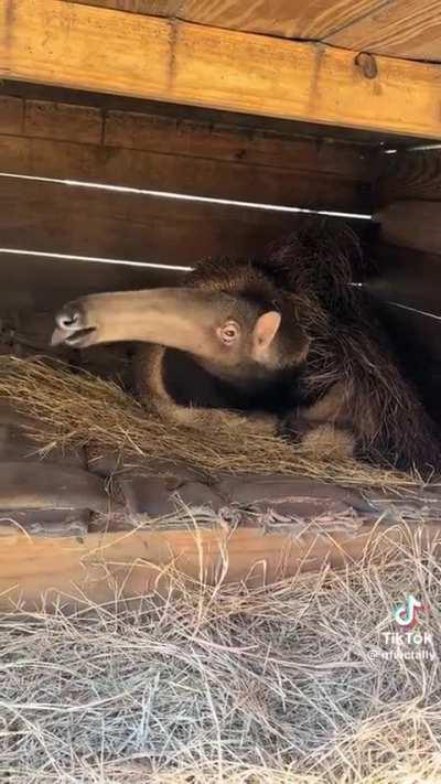 why this wunk so 𝓯𝓻𝓮𝓪𝓴𝔂😭💔