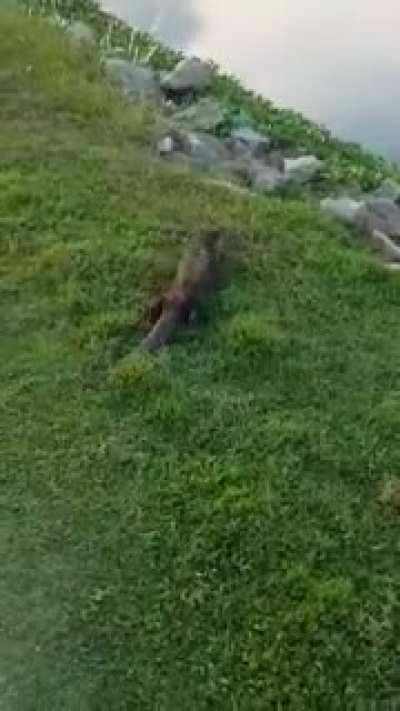 Was running today and saw a good friend