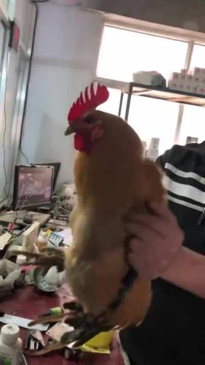 Beta testing a new self stabilizing mod on the rural drones.