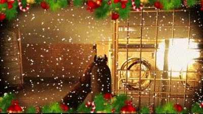 Merry Christmas 🎁