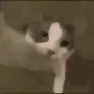 yo cuando candia abraza cam