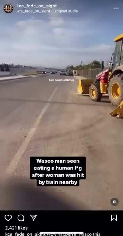 Woman has leg severed by train. Man steals leg. Eats it