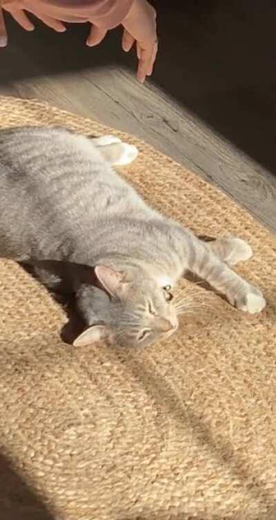 When mom interrupts your sun bath.