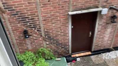 Woke up from a nap to the sound of some heavy summer rain.