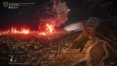 Let me unga bunga her...