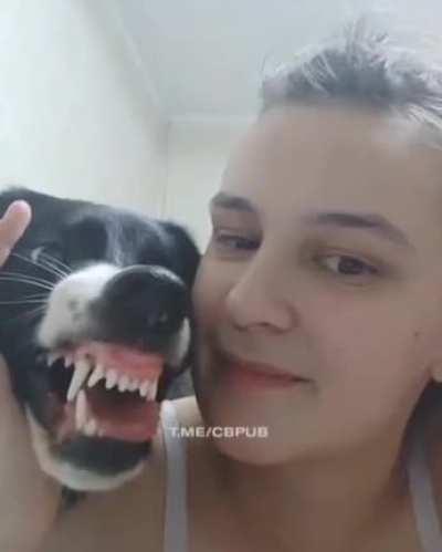 Girl annoys her dog, what could possibly go wrong