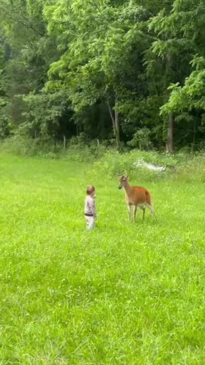 Wtf. Are the parents stupid??!? 