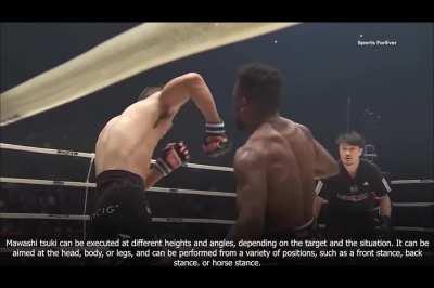 Tsuki Waza (Punching Techniques): Mawashi Tsuki (Long Hook Punch)