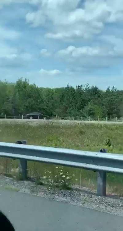 Too tired of traffic so we will reverse on a on ramp to save 5 mins