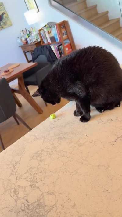 Official Brussels Sprouts Tester