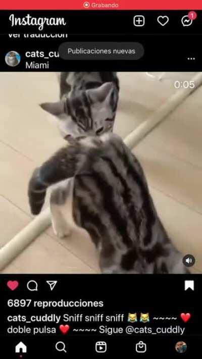 who can explain this?