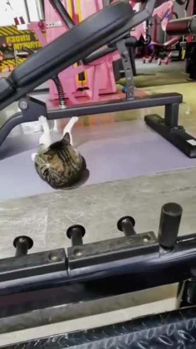 Like I need a Peloton....puffy..