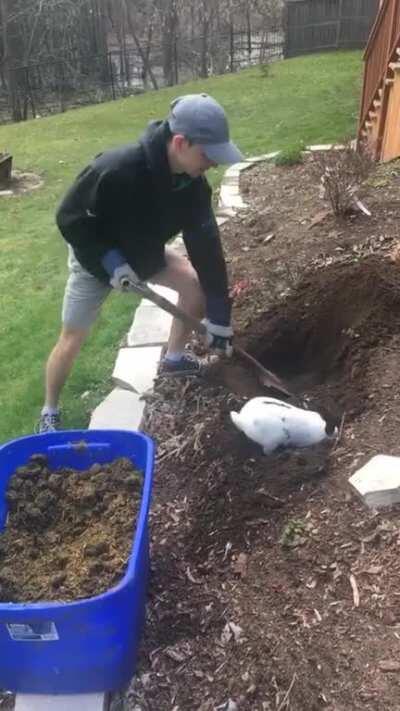 Throwback to this past spring when Josie decided my bf needed help digging a hole.