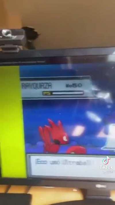 El folita con la pokenovia