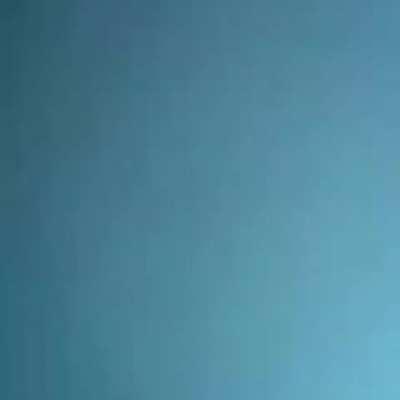 Tsunami of Killer Whales