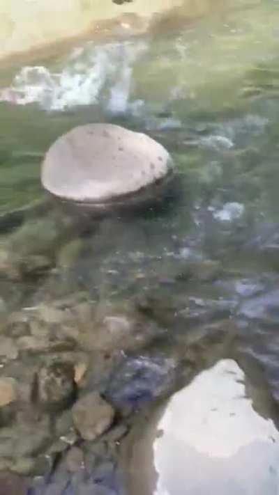 Left a trail of dust behind