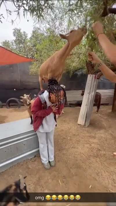 Halle at a farm | Snapchat 9.18.25