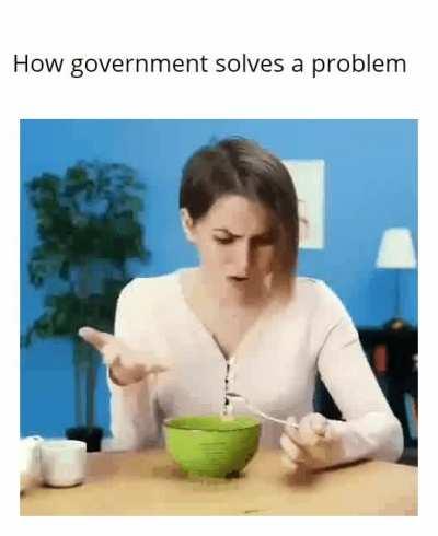 Anything the government can do private industry can do better.