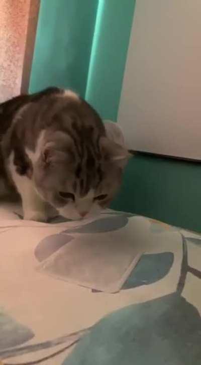 Scare yourself away.